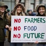 Argentina Farmers Cattle Agricultural Abogado